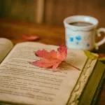 6 مورد از چالش های یادگیری زبان در مهاجرت